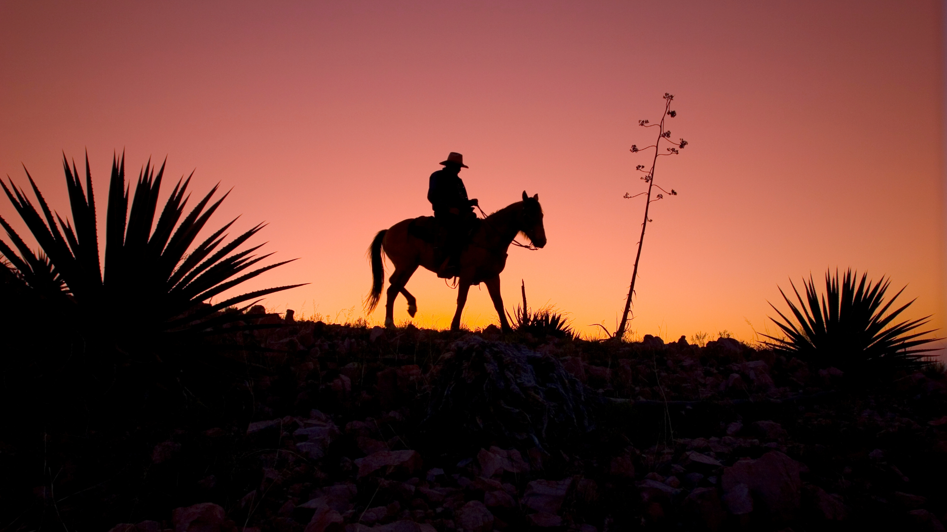 The Authentic Journey Home: Uncovering Your Hidden Potential Through Hypnotherapy